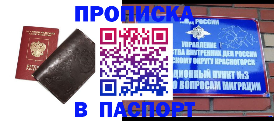 миграционный учет в Щёлково